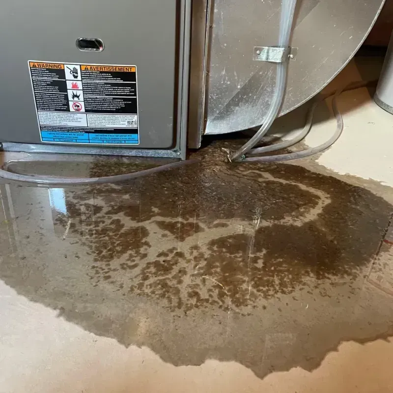 Appliance Leak Cleanup in Pickens, MS